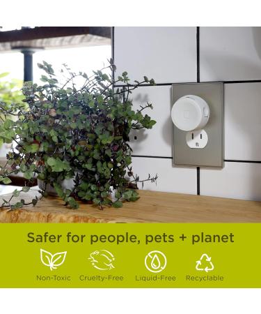 Enviroscent Lavender Tea + Honey Air Freshener Refills for Plug Hub - Pack of 2 Liquidless Scent Pods - Buy Online on SooperMarket.com