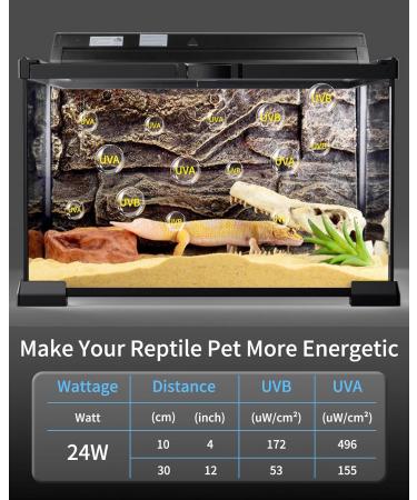 LUCKY HERP T5 Reptile Light Fixture Combo Kit 24W - 30% UVA + 10% UVB - 100-250V - Ideal for Amphibians, Tortoises, Lizards, and Bearded Dragons - Buy Online on SooperMarket.com