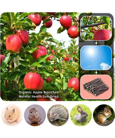 ERKOON Organic Apple Sticks 300g/500g Molar Treats for Small Animals - Hamster, Rabbit, Guinea Pig, Chinchilla, Squirrel - Chew Toys - Natural Apple Branch - 10.5 Ounce (Pack of 1) - Buy Online on SooperMarket.com