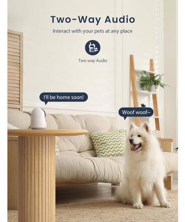 Buy GNCC Pet Cameras with App - 1080P HD 360 Swiveling 2-Way Audio Alexa Compatible - International Shipping Available - Buy Online on SooperMarket.com