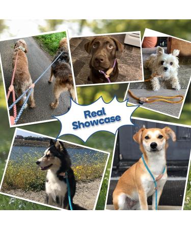 Durable 1.4cm x 150cm Pink Reflective Slip Lead Dog Leash | Adjustable Anti-Choking Training Rope for Small Medium Large Dogs and Cats | Grand Line Slip Lead - Buy Online on SooperMarket.com