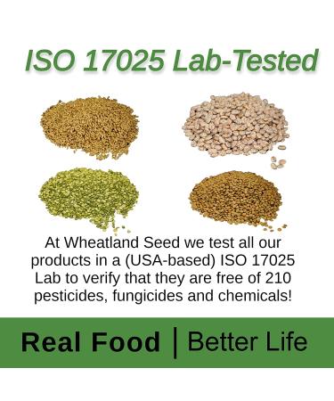 Wheatland Soft White Wheat Berries - Farm Fresh Emergency Food Storage with 25 Year Shelf Life - Non-GMO, Chemical-Free, Premium Quality - Buy Online on SooperMarket.com