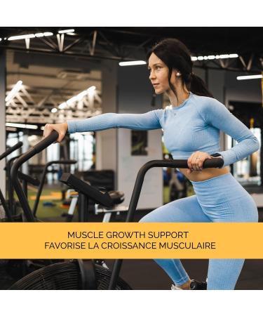 DIOA Fitness L-Glutamine 1000g 200 servings - Post Workout Muscle Recovery Immunity Digestive Health - No Artificial Fillers - Unflavored - Gluten Free - Buy Online on SooperMarket.com