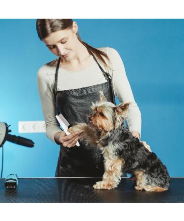 Blmhtwo 2-Piece Flea Comb for Cats & Dogs - Professional Fine-Toothed Pet Care Comb for Flea Tick and Stain Removal - Buy Online on SooperMarket.com