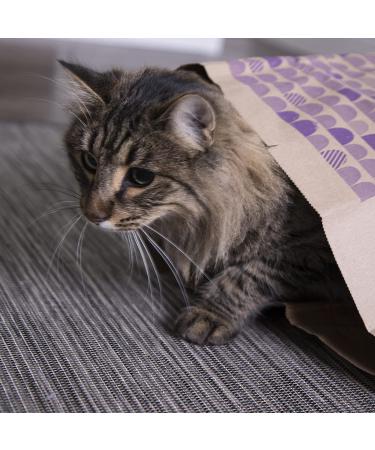 SmartyKat Hideout Tunnels & Playmat Toys for Cats & Kittens - Set of 2 Catnip Caves for Fun & Engaging Play - Buy Online on SooperMarket.com