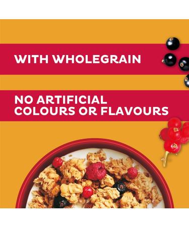 Kellogg's Crunchy Nut Red Berries Breakfast Granola 380g - Buy Online on SooperMarket.com