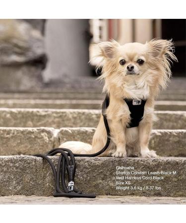 Stretch Comfort Leash - Light Tan | Premium Dog Leash for Ultimate Comfort | International Shipping Available - Buy Online on SooperMarket.com