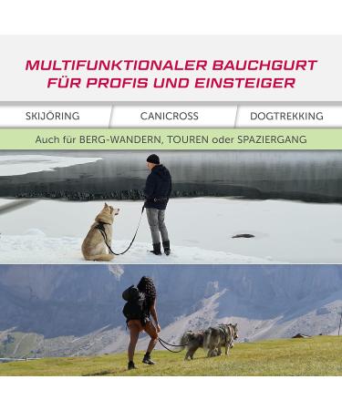LASALINE Canicross Belt | Dog Leash & Dogtrekking Belly Belt in Black & Blue | Comfortable & Durable for International Shipping - Buy Online on SooperMarket.com