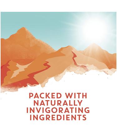 Buy Tazo Energize Green Tea - 20 Tea Bags (1.69 oz) for Energy Boost - Buy Online on SooperMarket.com