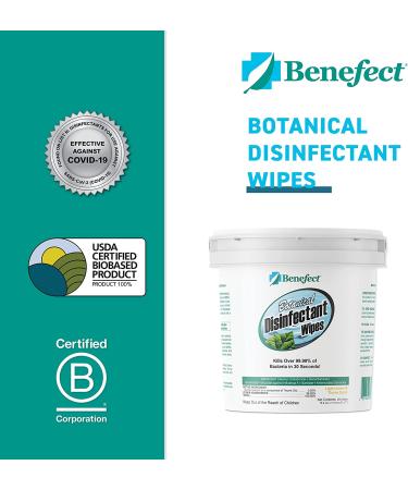 Benefect Botanical Disinfecting Wipes - (250 Wipe Count) Natural  No Residue - Antibacterial Disinfectant  Multi-Surface Cleaning and Sanitizing Wipes 250 Count (Pack of 1) - Buy Online on SooperMarket.com