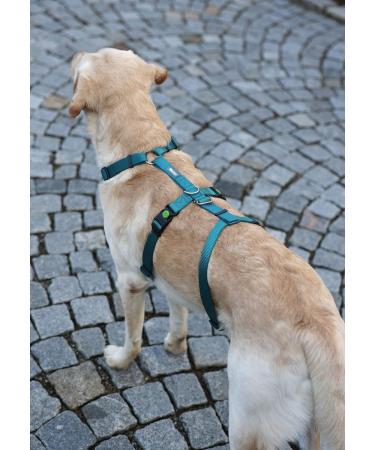 Kerbl 80045 Panic Harness Miami - Escape-Proof Design Petrol Color Adjustable 64-100cm | Shop Now for International Shipping - Buy Online on SooperMarket.com