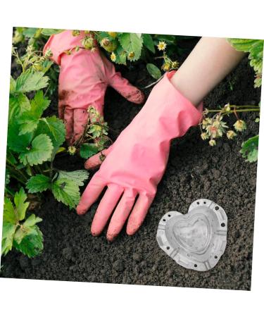 STOBOK 4pcs Melon Forming Gardening Major Molds Garden Design Plastic Fruit Heart Tools Small Strawberry - Buy Online on SooperMarket.com