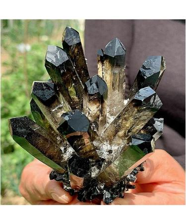 Natural Crystal Rough Crystals 1pc Black Phantom Quartz Crystal Cluster (Size : 900-1000g) - Buy Online on SooperMarket.com