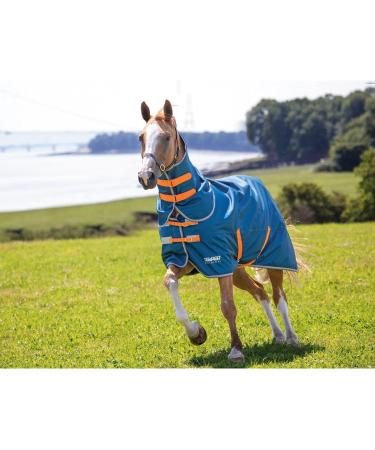Shires Tempest Original Lite Turnout Rug & Neck - Teal Teal 6ft0 - Buy Online on SooperMarket.com
