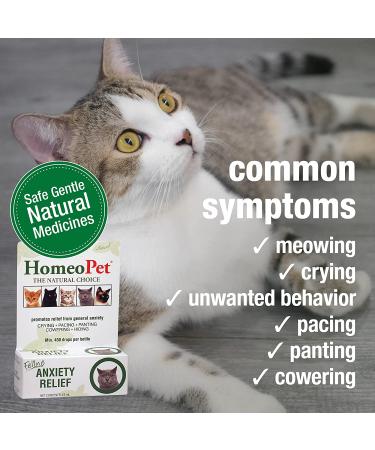 HomeoPet Feline Anxiety Relief - Stress & Anxiety Support for Cats - 15ml - Buy Online on SooperMarket.com