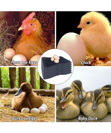 Hamiledyi Chicken Nesting Pads  Hen Nest Mats Washable  Chicken Nesting Box Plastic Liners  Reusable Egg Laying Mats for Chicken Coop Poultry Nest Boxes Ducks Nesting Pads 6PCS - Buy Online on SooperMarket.com