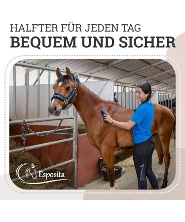 Buy Esposita Halft Champion Edition Stallhelper Fluchhelfer Switching Flouch - Draft/KB Navy/Silver | International Shipping Available - Buy Online on SooperMarket.com