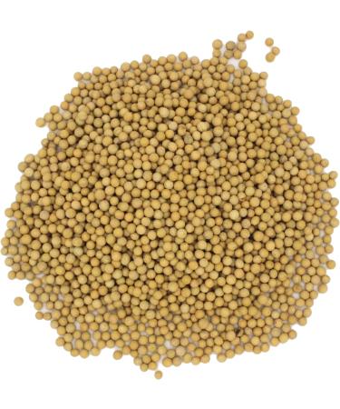 Organic Soya Beans No Additives No Preservatives Raw High Fibre High Protein Vegan GMO-Free - Perfect for Plant-Based Recipes - Thames Organic 500g 500 g (Pack of 1) - Buy Online on SooperMarket.com