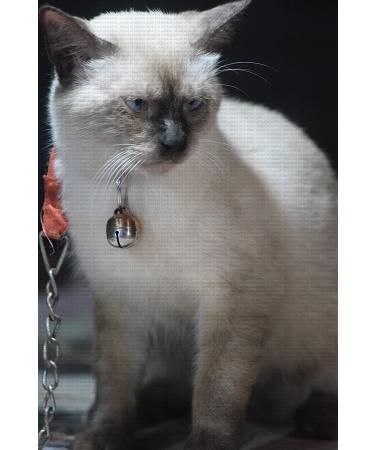 Abdul of Sialkot Extra Loud Brass Silver Bells Collar Charm Pet Tracker (Small) - Buy Online on SooperMarket.com