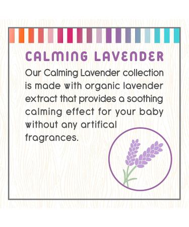 Little Twig Bath Time Bubbles Gift Set - Unscented/Lavender/Tangerine - 2.18 Pound - Buy Online on SooperMarket.com