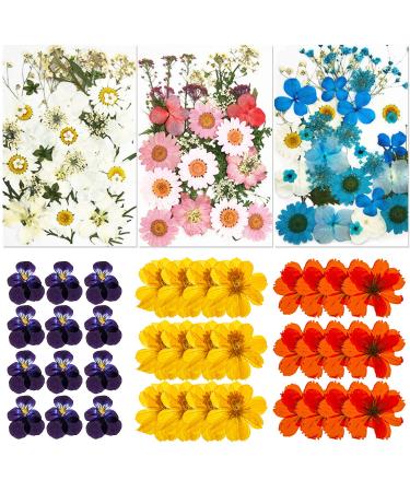 135 Pcs Natural Dried Pressed Flowers Leaves Set Real Dried Flowers for Resin Daisy Dried Flowers Mixed Decoration Pressed Leaves for DIY Resin Jewelry Candle Nail Art Decor (White Blue Pink)