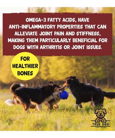 True Dog Premium Omega Oil High Grade Omega 3 6 & 9 supplement for Dogs & Cats | Hemp & Flaxseed Blend Joint Mobility Skin & Coat Support (1ltr) - Buy Online on SooperMarket.com