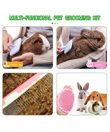 Crafterlife Small Animal Pet Grooming Kit - Shedding Slicker Brush, Massage Glove, Comb, Nail Clipper Trimmer - for Rabbit, Puppy, Kitten, Guinea Pig, Hamster, Ferret (Pink) - Buy Online on SooperMarket.com