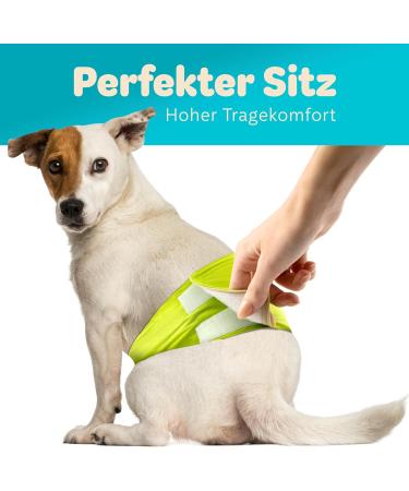 Dog is K nig Male Dog Diapers - Washable Comfort for Incontinence | Eco-Friendly Easy to Clean XS (23-32cm) - 3 Pack in Black Blue Green - Buy Online on SooperMarket.com
