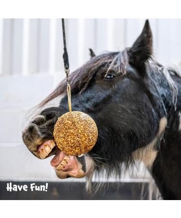 Likit Granola Stall-Ball Horse Treat 1.6kg | Flavours Apple Mixed Berry Peppermint Molasses | Long Lasting Boredom & Stress Reliever | 1.6kg - Buy Online on SooperMarket.com