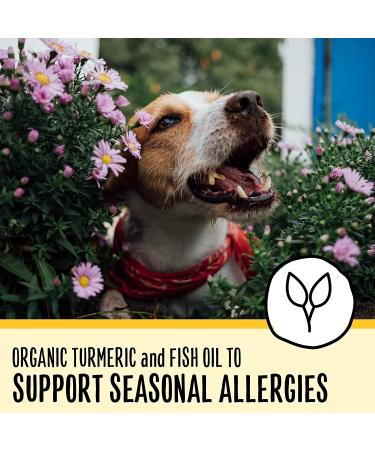 Premium Senior Dog Food for Dogs 7+ Years | Nutritious & Easy to Digest - Buy Online on SooperMarket.com