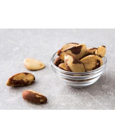 Organic Dry Roasted Brazil Nuts with Himalayan Salt - 1lb | Non-GMO | Vegan & Kosher | High Protein & Selenium | Keto-Friendly Snack - Buy Online on SooperMarket.com