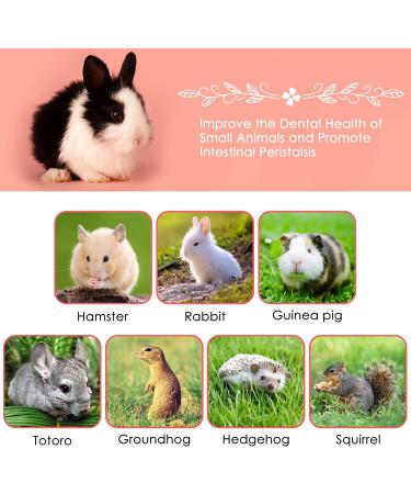 ERKOON Organic Apple Sticks 300g/500g Molar Treats for Small Animals - Hamster, Rabbit, Guinea Pig, Chinchilla, Squirrel - Chew Toys - Natural Apple Branch - 10.5 Ounce (Pack of 1) - Buy Online on SooperMarket.com
