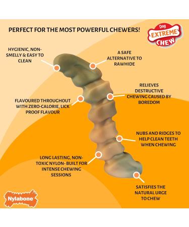 Nylabone Extreme Power Chew Gator Tail Alternative Dog Chew Toy Chicken Flavour - Large/Giant (Up to 23kg) - Buy Online on SooperMarket.com