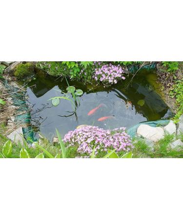Barley Straw Balls 300ml - Natural Pond Cleaner for Green Algae & Blanketweed - Buy Online on SooperMarket.com