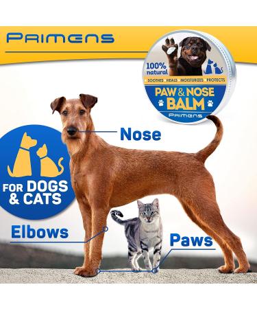 Natural Dog Paw Balm 0.5 oz - Paw Protection for Hot Pavement, Dry Paws, & Cracked Paws - Moisturizer for Cats & Dogs - Paw Protectors & Pad Lotion - Buy Online on SooperMarket.com