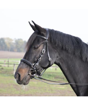 Solibel trekking bridle black fitting: stainless steel thoroughbred