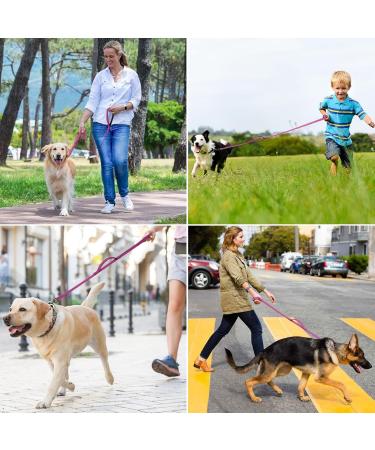 Demigreat Long Dog Leash - 1.5m/3m/5m Robust Training Line with Padded Handle for Small to Large Dogs - Violet 16.5ft - Buy Online on SooperMarket.com
