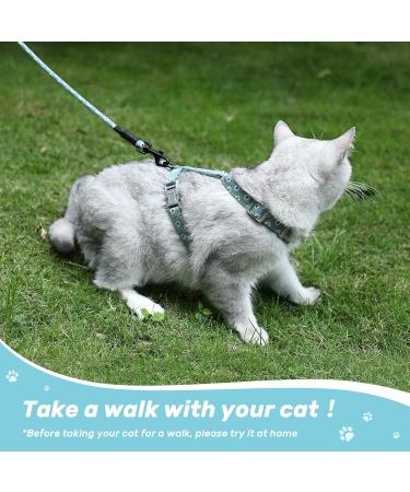 Buy Petom Flower Pattern Cat Dishes & Adjustable Leash - Perfect for Small & Medium Cats - Break-Proof Design - Light Green - Buy Online on SooperMarket.com
