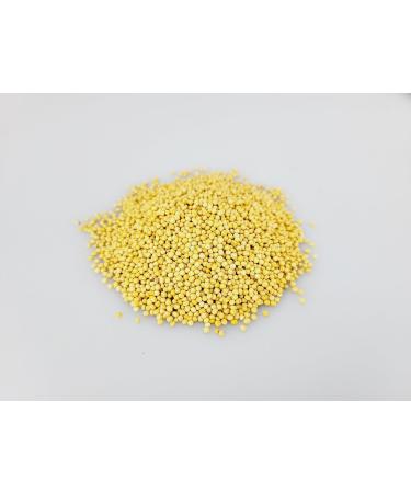 Entirely Ingredients Yellow Whole Mustard Seeds 100% Natural - Selected for Premium Quality - Premium Food Grade - Buy Online on SooperMarket.com
