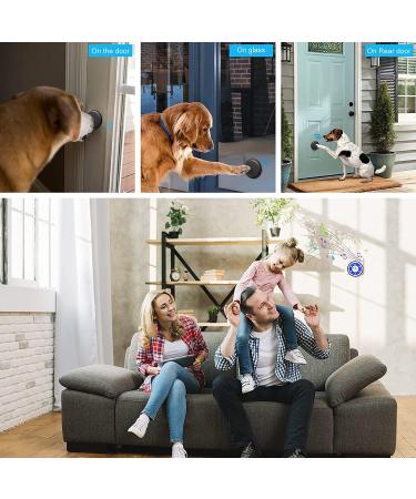 Buy MYPIN COURST HOUSE TRING Celbn - IP65 Waterproof Dog Door Bell with 20 Ringtones & 4 Modes LED Flash | 1 Receiver + 2 Transmitters (PET0172) - Buy Online on SooperMarket.com
