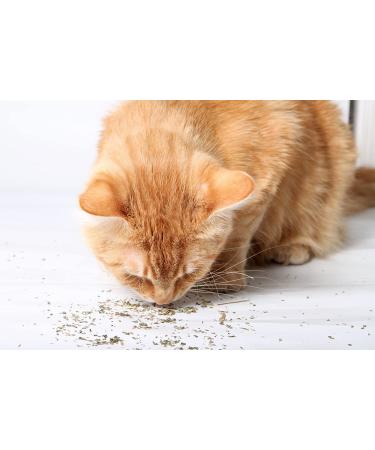 Cat Crack Organic Catnip Premium Blend for Maximum Potency - 1 Cup - Buy Online on SooperMarket.com