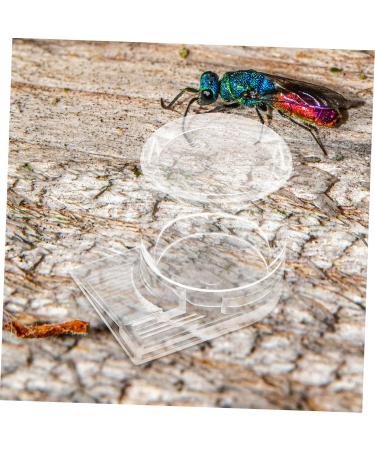 FOMIYES Pet Water Feeder Ant Nest Feeder Ant Nest Water Cup Ant Keeper Tools Climbing Pet Water Dispenser - Buy Online on SooperMarket.com