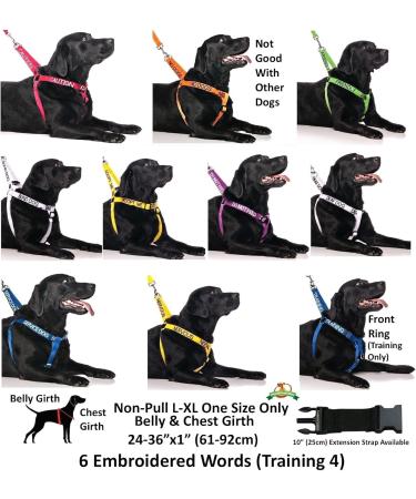 Dexil Elite Range Luxury Padded Handle Strong 1.2m 4ft Pet Dog Lead Leash (Flash Red 120cm/4ft x 25mm) 120cm/4ft x 25mm Flash Red - Buy Online on SooperMarket.com
