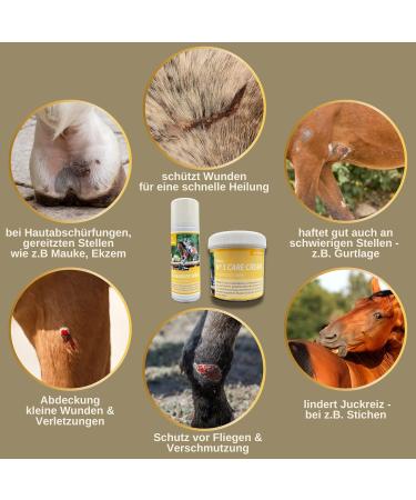 First Aid Set for Horses - Silver Spray & Zinc Ointment for Wound Healing Protection & Disinfection | 250ml & 200ml Options for Pets & Livestock - Buy Online on SooperMarket.com