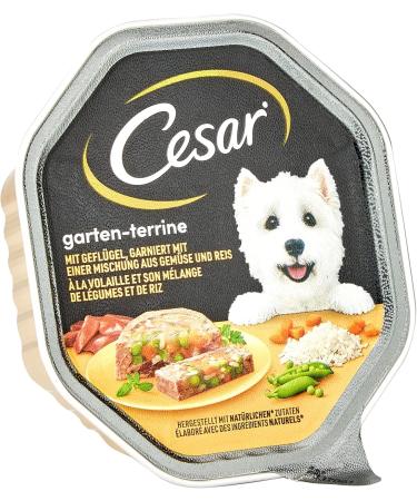 Cesar Dog Food Wet Garden Variety with Poultry Vegetables & Rice - 14 Bowls (2 Pack) | Premium Canine Nutrition for Happy Dogs - Buy Online on SooperMarket.com