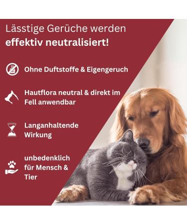 Deodog Odor Neutralizer | Eliminate Stubborn Pet Smells | Safe for Homes Cars & Pets | Cat Urine Dog Urine & Vomit Remover - Buy Online on SooperMarket.com