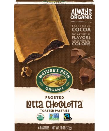 Nature's Path Organic Toaster Pastries, Frosted Chocolate, 72 Count (Pack of 12, 11 Oz Boxes), Made From Real Cacao