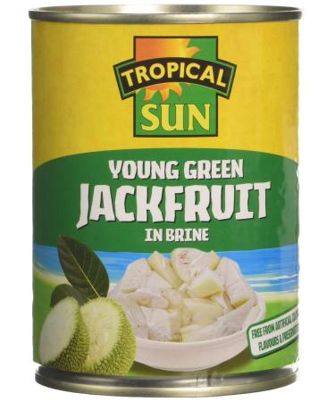 Tropical Sun Young Green Jackfruit in Brine 560g