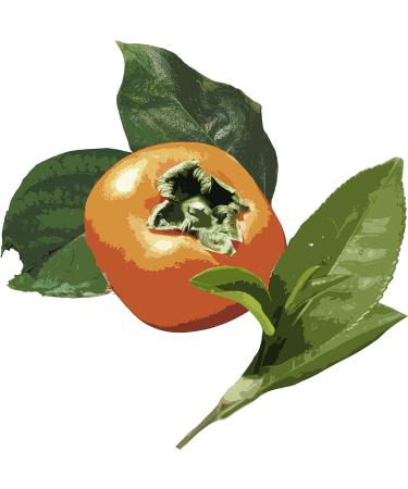 Family Persimmon Soap 2 Kopakku - Natural Cleansing Bar for Gentle Skin Care - Buy Online on SooperMarket.com