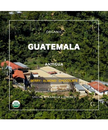 Organic Guatemala Antigua Green Coffee Beans - Specialty Grade 1 Arabica - 5 LB - Buy Online on SooperMarket.com
